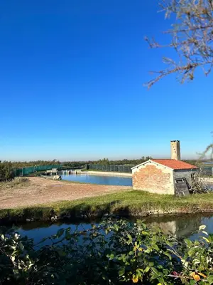 Planimetria di Lodge Casonetto