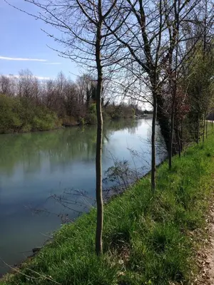 Vista sul fiume nelle vicinanze della villa