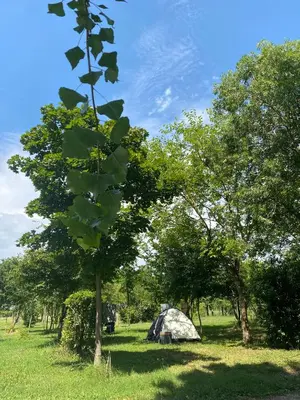 Giardino di Camping Biologico La Buona Terra
