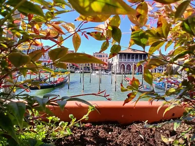Giardino di Grand Canal Diamond