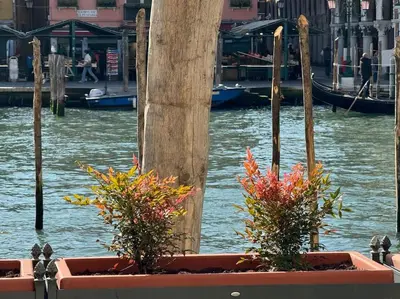 Vista sul fiume nelle vicinanze dell'appartamento