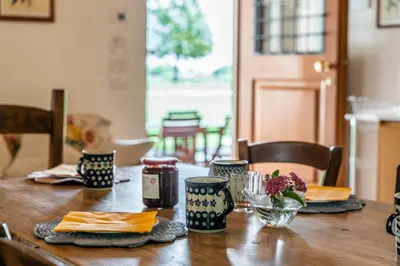 Cibo presso l'appartamento o nelle vicinanze