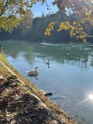 Paesaggio naturale nelle vicinanze dell'appartamento