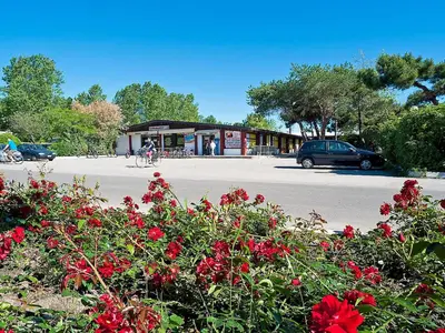 Giardino di Holiday Home Happy Premium by Interhome