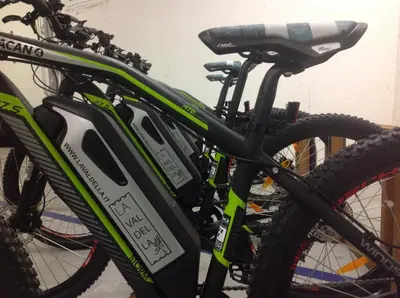 Attività di ciclismo presso il bed & breakfast o nelle vicinanze