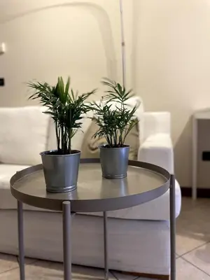 Area soggiorno di Perfect home for Venice by train and H-FARM