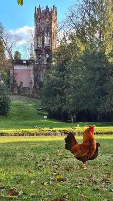 Planimetria di Casa Anì