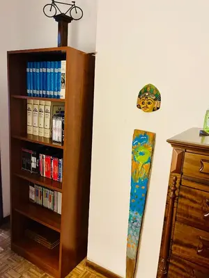 Biblioteca nell'appartamento