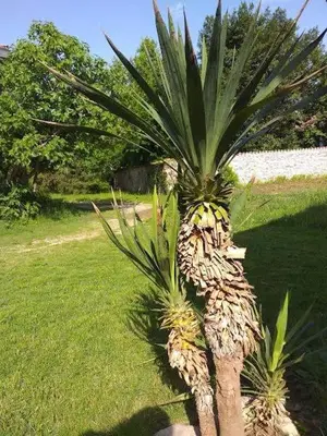 Giardino di Montello Hill apartment