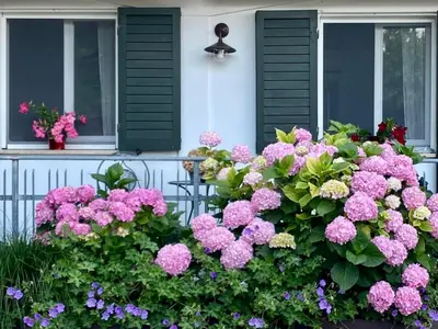 Giardino di Elegante Appartamento con Vista - Colli Euganei