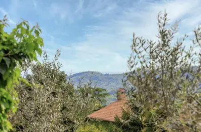 Paesaggio naturale nelle vicinanze dell'appartamento
