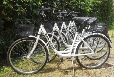 Attività di ciclismo presso l'hotel o nelle vicinanze