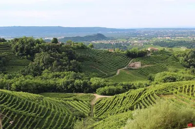 Paesaggio naturale nelle vicinanze dell'appartamento