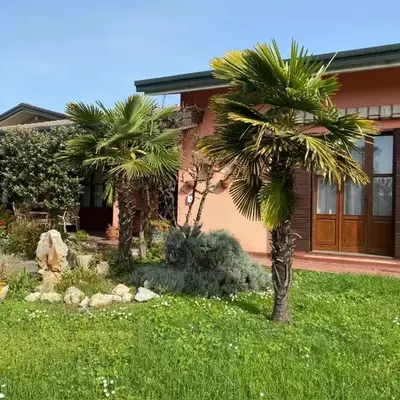 Betty House