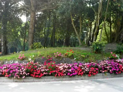 Giardino di Federica