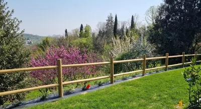 Paesaggio naturale nelle vicinanze del bed & breakfast