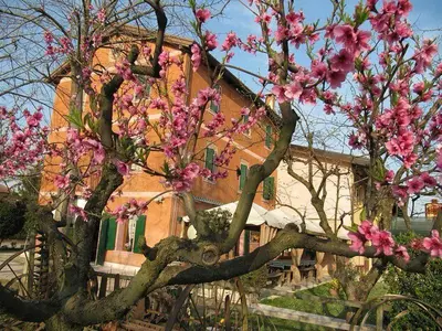 Giardino di Agriturismo Praetto
