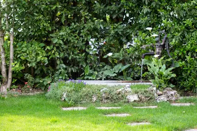 Giardino di B&B Arco Di Pietra