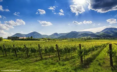 Paesaggio naturale nelle vicinanze dell'appartamento