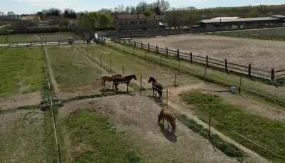 Altri animali domestici presso il bed & breakfast o nei dintorni
