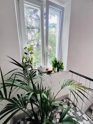 Giardino di L'affitta Camere di Venezia