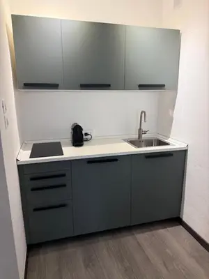 Cucina o angolo cottura di AHF apartments