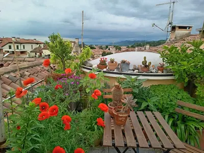 Paesaggio naturale nelle vicinanze del bed & breakfast