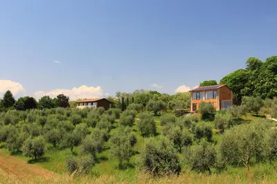Paesaggio naturale nelle vicinanze della villa