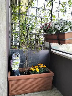 Giardino di Urbino Uno Apt Venezia