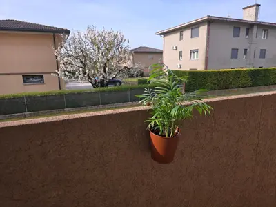 Edificio in cui si trova l'appartamento