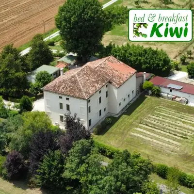 B&B Kiwi