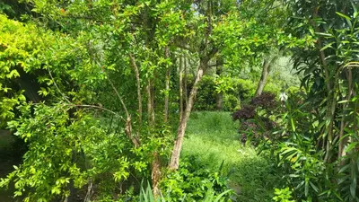 Planimetria di Private house