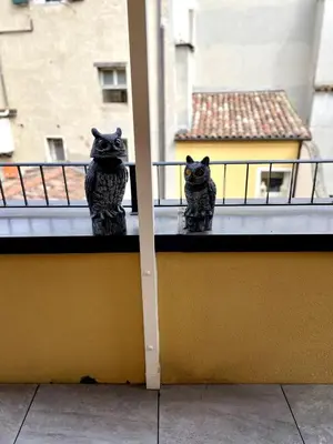 Ospiti di Elegant One-Bedroom Apartment with Private Terrace- steps from Basilica del Santo con animali domestici