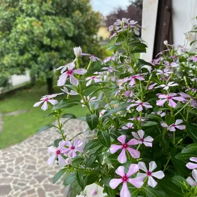 Residenza 38