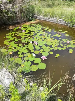Paesaggio naturale nelle vicinanze dell'appartamento