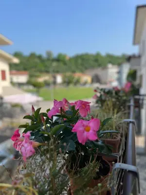 Planimetria di Cecia's House