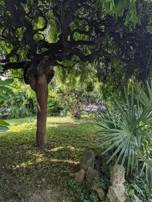 Giardino di Casa la Contessa