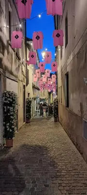 Il quartiere o una zona nella vicinanze dell'appartamento