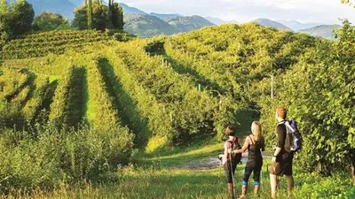 Paesaggio naturale nelle vicinanze dell'appartamento