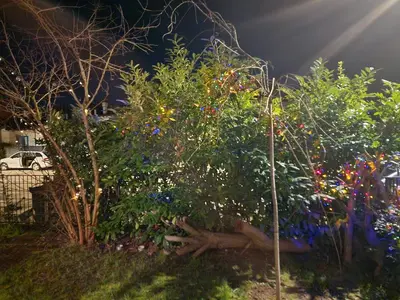 Giardino di Il Glicine di Marco Polo