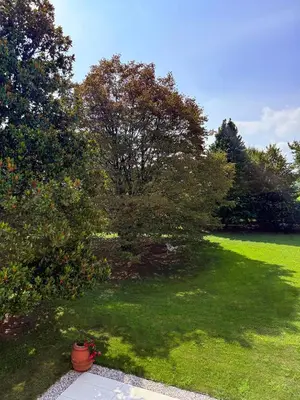 Giardino di Villa Zane