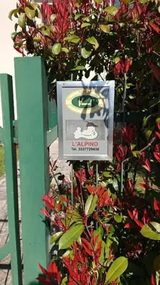 Certificato, attestato, insegna o altro documento esposto da Camere L'Alpino