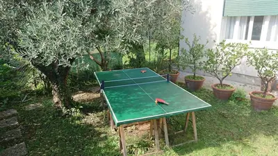 Attrezzature per ping pong presso Camere L'Alpino o nelle vicinanze