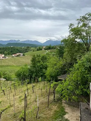 Paesaggio naturale nelle vicinanze dell'appartamento