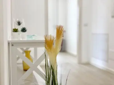 Planimetria di Casa fiorita