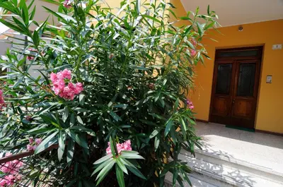 Giardino di Appartamento Colli & Terme
