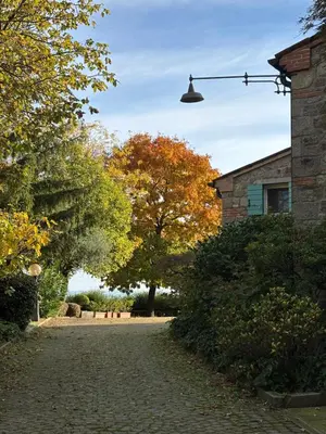 Giardino di La Pisana Relais di Campagna