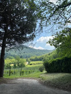 Paesaggio naturale nelle vicinanze dell'affittacamere