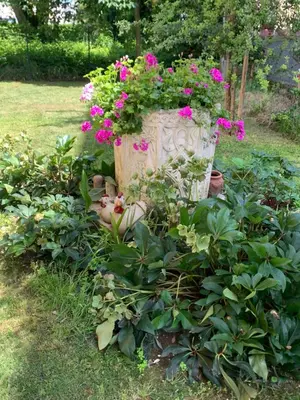Giardino di Calipso