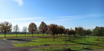 Giardino di Appartamento Cuore Veneto